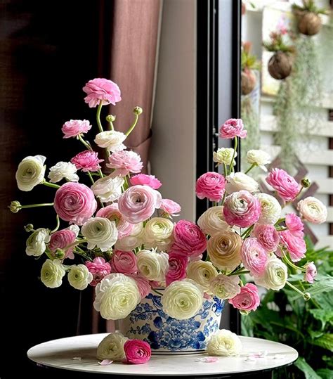 Hội chị em đua nhau mua 6 loài hoa hot trend sau Tết giá rẻ bất ngờ chỉ từ 20 000 đồng bó đẹp