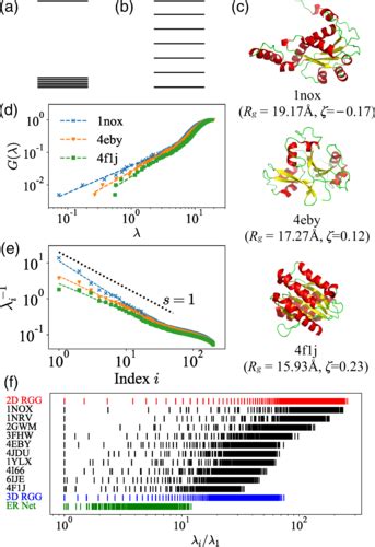 Functional Sensitivity And Mutational Robustness Of Proteins