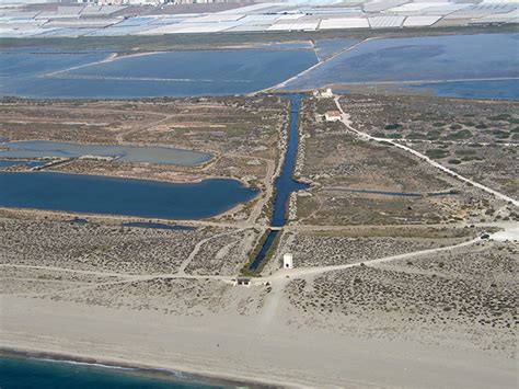 Humedales almerienses un refugio para miles de aves acuáticas