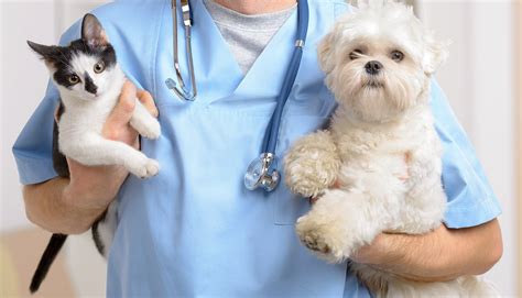 Center Grove Animal Clinic | Pet Care | Greenwood, IN