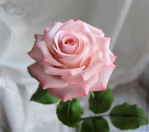 Розовая роза (холодный фарфор) в интернет-магазине на Ярмарке Мастеров ...