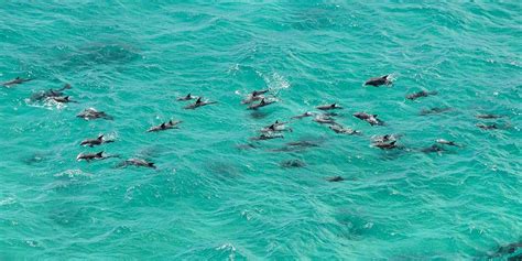 murwillumbah tweed shire accommodation murwillumbah motor inn