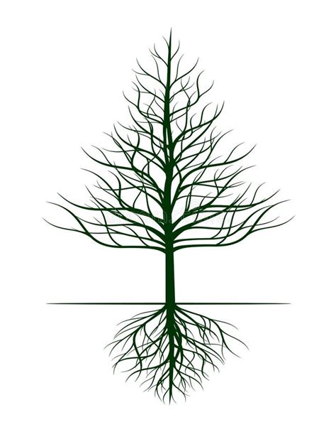 Naked Tree Vector Outline Illustration Plant In Garden Stock Vector Illustration Of Roots