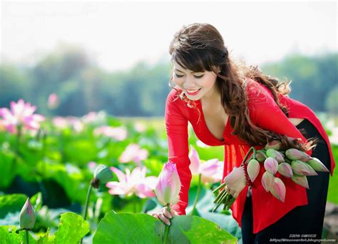 Sen Việt: Hái Sen