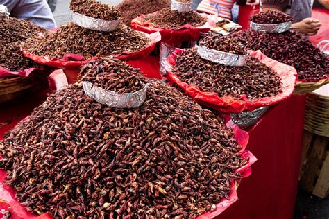Chapulines Or Grasshoppers In Mexico 2025 Roveme