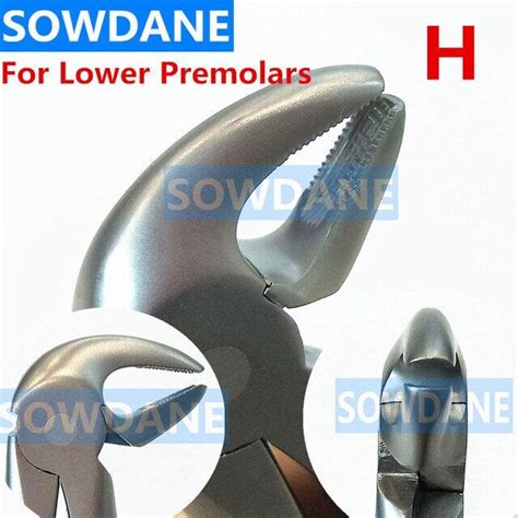 1 Piece Stainless Steel Dental Tooth Extraction Forceps Teeth