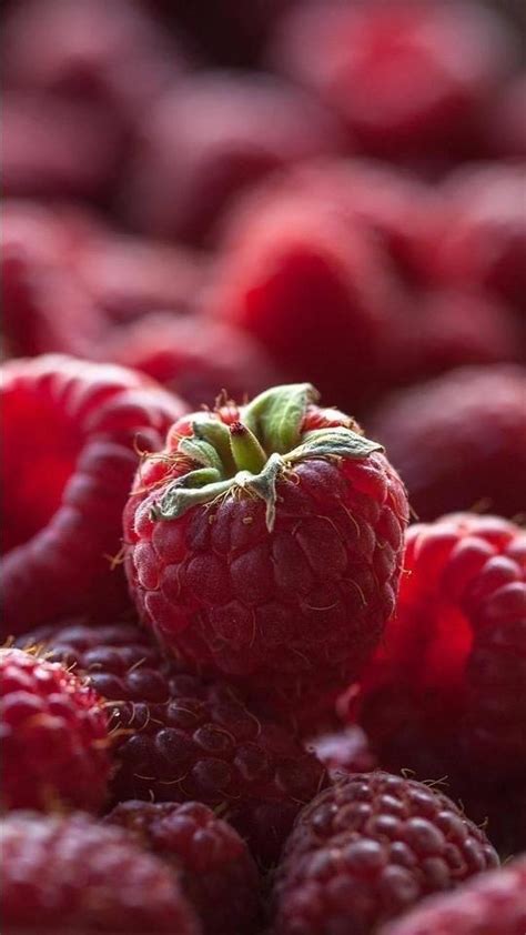 I Like Pictures | Lamponi, Fotografia di frutta, Frutta