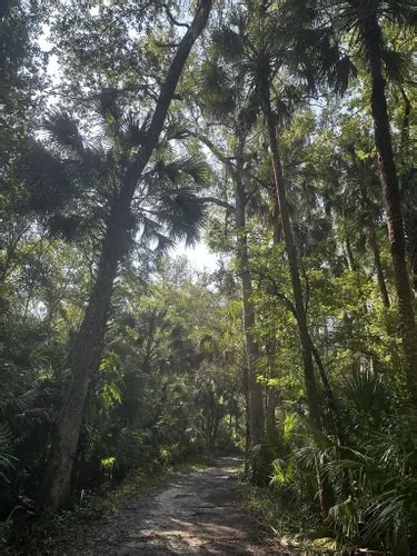 Best Hikes And Trails In Flat Island Preserve Alltrails