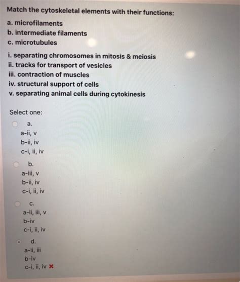 Solved Match the cytoskeletal elements with their functions: | Chegg.com 