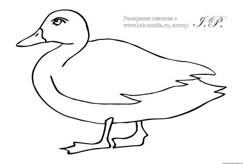Утка Раскраска Для Детей