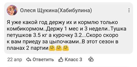 Купить цыплят в Оренбурге оптом - цена от производителя | Романовский ...