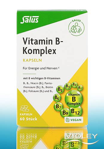 Salus Vitamin B Komplex 60 Kapseln 22 G Bei Violey