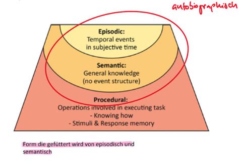 Karteikarten Autobiographisches Ged Chtnis Vl Quizlet