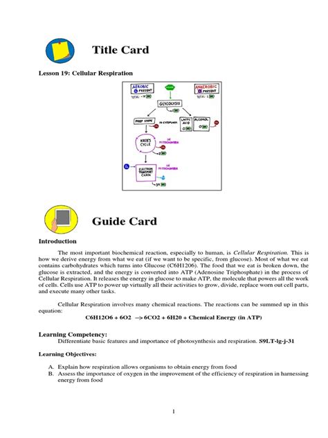 Science - G9 - Week 7 (Lessons 19-20) | PDF | Cellular Respiration ...