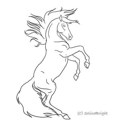 Bucking Horse Drawing at GetDrawings | Free download