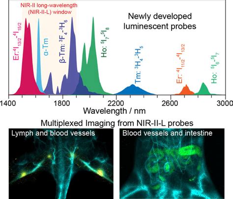 An Extended NIRII Superior Imaging Window From 1500 To 1900 Nm For