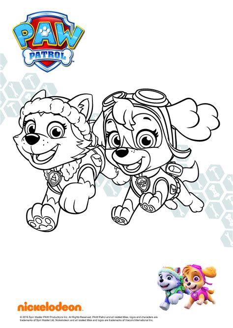 Genial Paw Patrol Ausmalbild Bilder Coloriage Paw Patrol Porn Sex My XXX Hot Girl