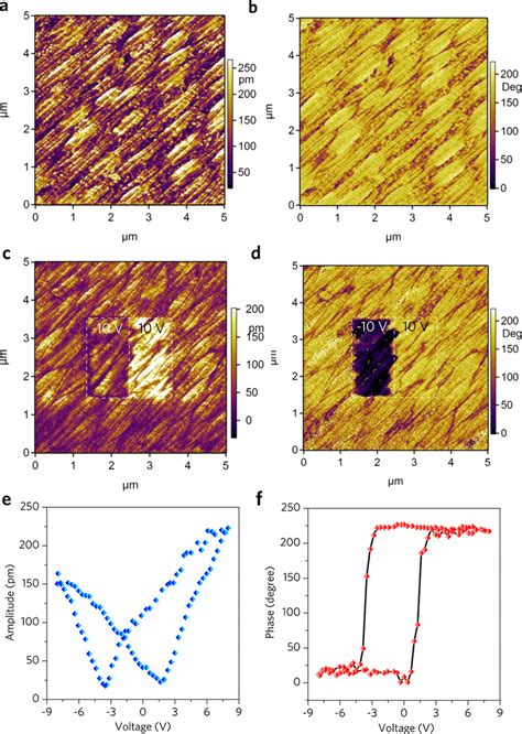 A Piezoresponse Force Microscopy Pfm Amplitude And B Phase