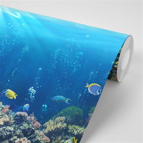 Self Adhesive Wallpaper Tropical Fish