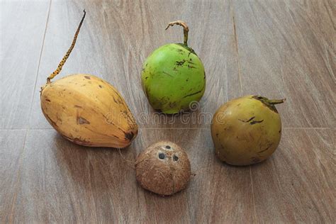 Four Different Coconuts On Table Stock Photo Image Of Comparing