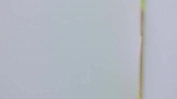 LOONA Flip That Gay XVIDEOS