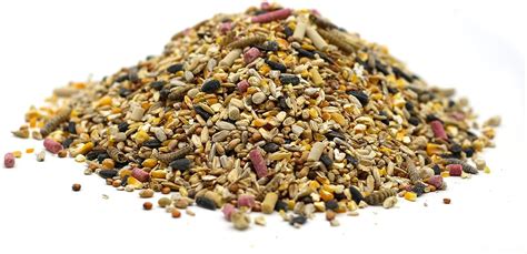 Bamfords Robin And Friends Ultimate Energy Premium Wild Bird Food Garden