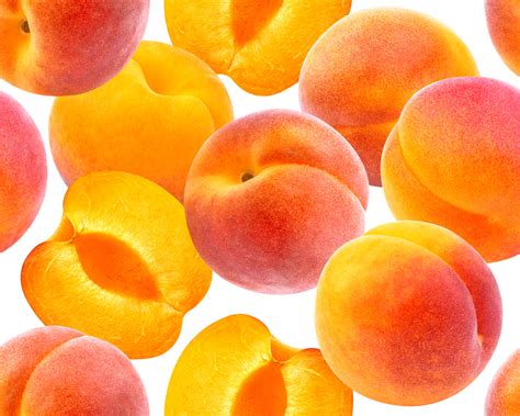 Peach & Apricot - Trip Hammer