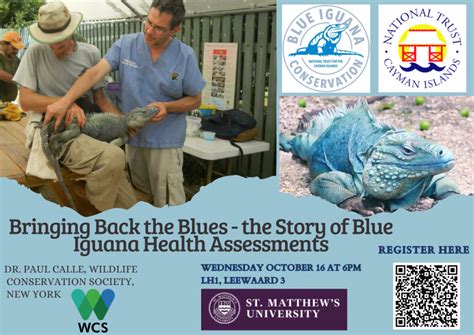 Surveygroup Com Blues Health Assessment A Comprehensive Review Of Features Accuracy And Consumer Impact