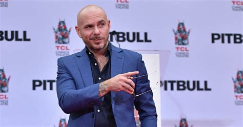 How Pitbull Amassed His Massive $100 Million Net Worth