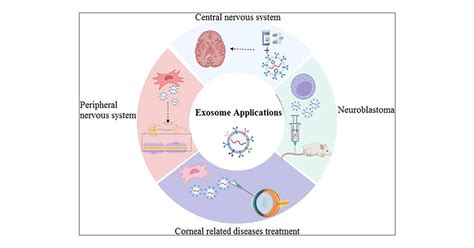 Potential Use Of Exosomes As Diagnostic Biomarkers And In, 57% OFF