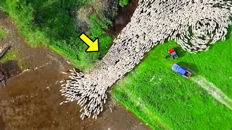 Drone Captured Something That No One Should Have Seen! It's Not For The ...