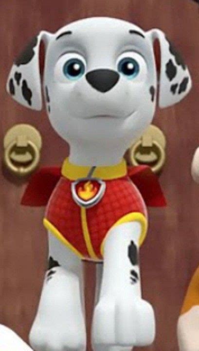 Pin By Randall Alexander On Paw Paw Patrol Paw Paw Patrol Pups