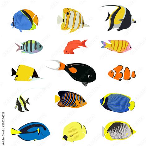 Isolated sea fish. Set of aquarium cartoon fishes. varieties of ornamental popular color fish ...