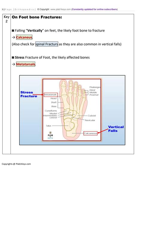 SOLUTION Orthopaedics Plab Keys 2022 Studypool