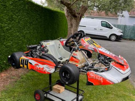 Sodikart DD2 evo 2020 Rotax édition limitée 20 years grand finals