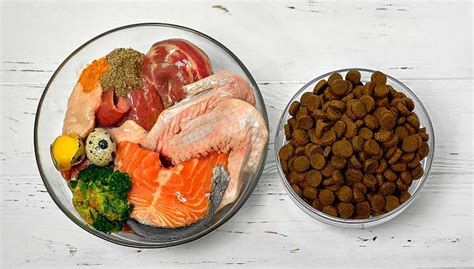 pros  cons  homemade dog food recipes   myths
