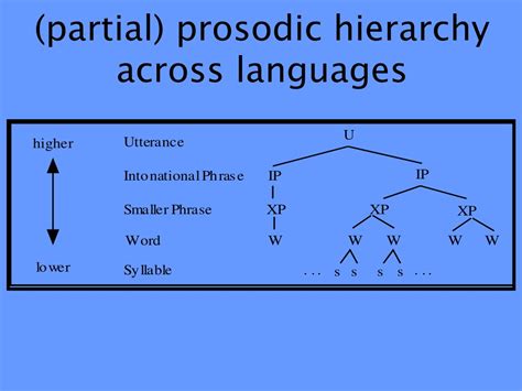 prosody  phonetics exploring sound patterns  languages