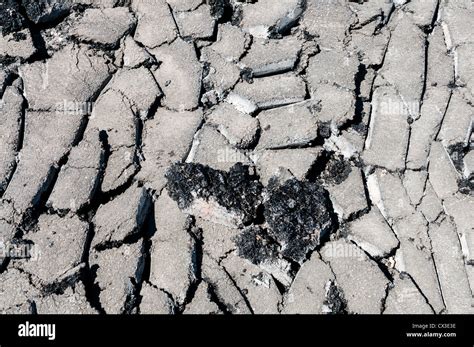 Pavement Digging Up Hi Res Stock Photography And Images Alamy