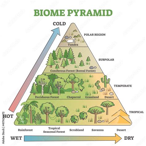 biome pyramid  ecological weather  climate classification outline