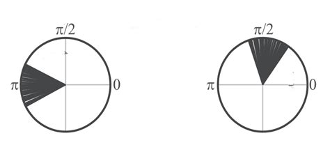 eeg connectivity  phase lag index sapien labs shaping