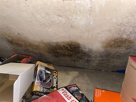 Attic mould in plasterboard, any advice to get rid of it permanently