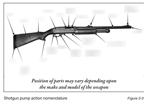 Firearms - Nomenclature - Shotgun Pump Action Diagram | Quizlet