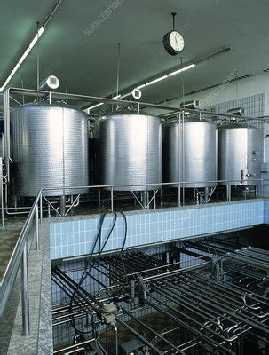 Milk Processing Stock Image T Science Photo Library