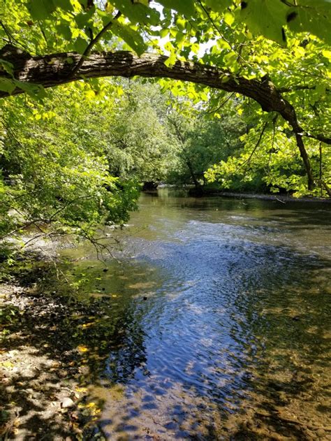 Ramapo County Reservation: Ramapo River | National Parks With T