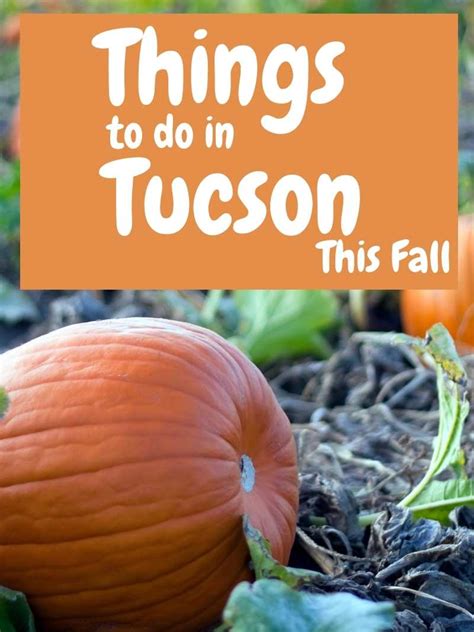 Things To Do In Tucson This Fall 2021 Desert Chica