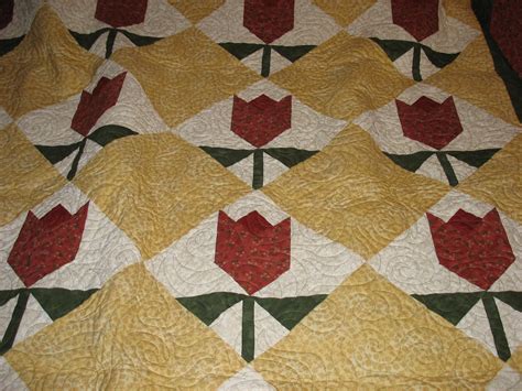 Lizs Quilt Adventures The Tulip Quilt