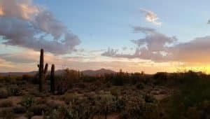 Affarijiet Li Ma Kontx Taf Dwar Id De Ert Sonoran Mexico Travel Channel