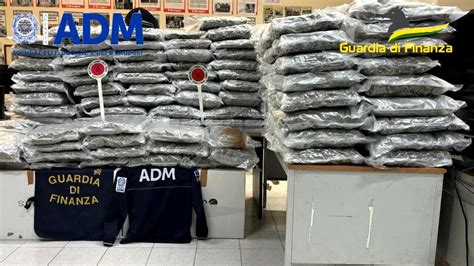 Narcos Capitale Bloccato Doppio Carico Di 340 Chili Di Droga Dalla