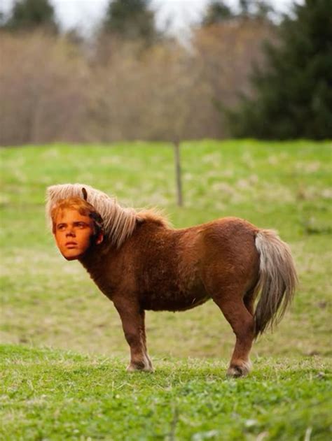 Ponyboy Curtis In 2024 The Outsiders The Outsiders Ponyboy The