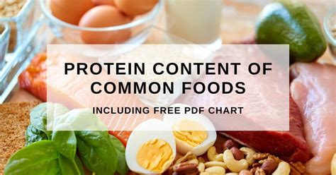 protein content  foods